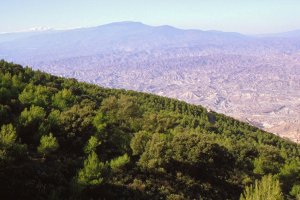 Contrastes y diversidad del paisaje almeriense.