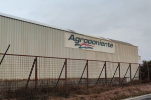 Apuesta clara de Grupo Agroponiente por ofrecer todos sus servicios de la manera más cercana y cómoda.