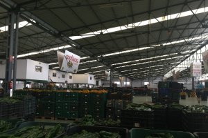 Imagen de archivo de productos hortofrutícolas en Agrupaejido de La Redonda.