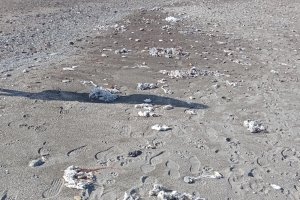 Imagen de la playa recogida por los vecinos del Zapillo.