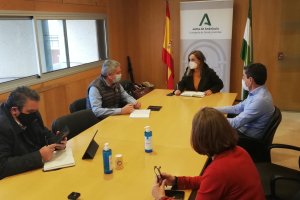 Maribel Sánchez, delegada de la Junta en Almería, presidiendo la reunión de este lunes en la delegación de Salud.