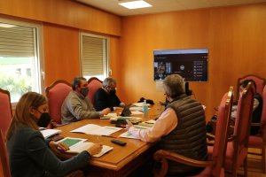 La reunión con los alcaldes ha sido por videoconferencia.