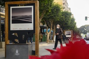 Una de las imágenes que pueden verse en el Paseo de Almería.