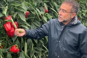 Esta tecnología es una poderosa herramienta para combatir el estrés abiótico.