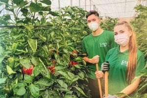 Este centro de Formación Profesional cuenta con titulaciones de grado medio y superior innovadoras para el desarrollo del sector agrario.