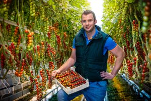 La introducción en el mercado Europeo se prevé para 2026.