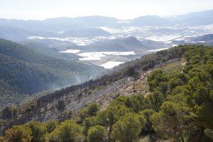 Zona afectada por el fuego en Castala.