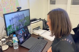 Reunión telemática Margarita Cobos con los directores de centros escolares.