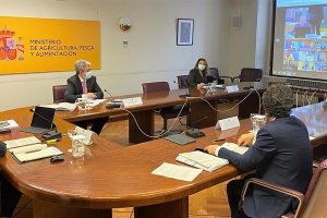 Crespo subraya el rechazo unánime del sector agrario andaluz a un real decreto que provocará un trasvase de fondos entre agricultores