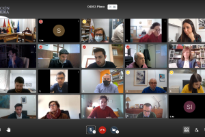 Pleno virtual celebrado este viernes.