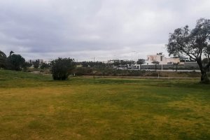 Parcelas que saldrían a subasta.