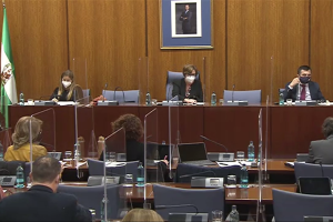 La Comisión de Cultura, reunida este mediodía en el Parlamento de Andalucía.