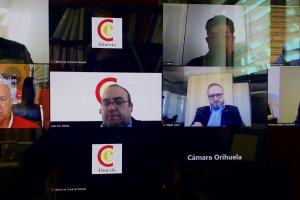 Reunión telemática de los presidentes de las cámaras del sureste español