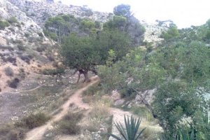 La Molineta, un soplo de aire fresco a tiro de paseantes, familias o deportistas