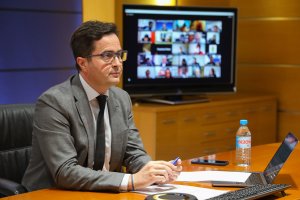 El alcalde de El Ejido, Francisco Góngora, durante la sesión plenaria telemática.