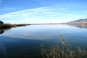 Los entornos hídricos de Adra siguen protegidos.