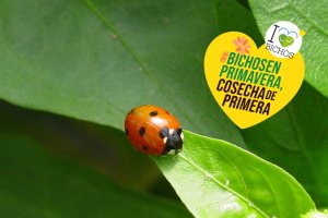 La campaña I Love Bichos se ha elaborado un decálogo de buenas prácticas frente a diez falsos mitos