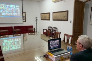 Pleno celebrado de forma virtual en Vera.