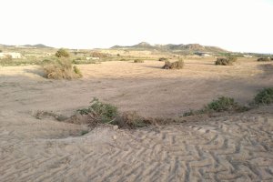 El yacimiento arqueológico romano de El Rozaipón, en la Media Legua de Vera, fue expoliado hace tres años.