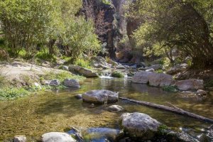 Canales de Padules, un conjunto de senderos acuáticos excavados por el río Andarax