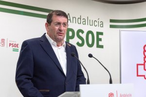 El portavoz socialista en Vera Martín Gerez.