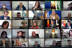 El pleno se ha celebrado de forma telemática.