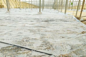 Othar, el plástico azul de Politiv.