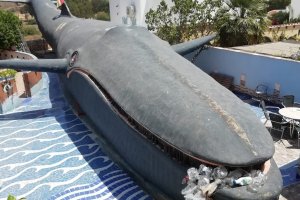 El escultor se ha preocupado de que su Moby Dick tenga aguas por las que nadar.