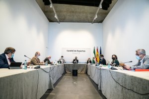 Reunión del Consejo Asesor de Alertas de Salud Pública de Alto Impacto, este miércoles.