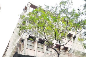 Fachada del edificio de Correos que quiere adquirir el Ayuntamiento