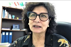 Carmen Navarro durante el encuentro virtual.