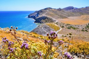 Rutas y excursiones por la provincia de Almería.