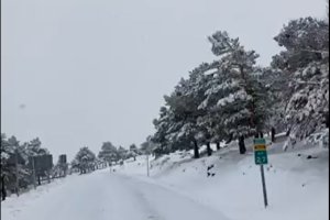 imagen del vídeo compartido por el Camping de Las Menas.