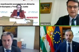 Participantes en el webinar: Juan Álvarez, Rafael Sánchez y Juan Bravo, y la subdirectora de LA VOZ, Antonia S. Villanueva.
