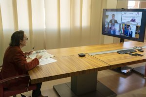 Imagen del webinar celebrado ayer.