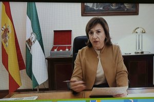 García durante su intervención en el webinar.