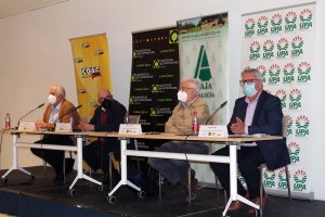 Fotografía de la rueda de prensa.