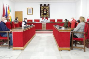 Pleno del Ayuntamiento de Adra.