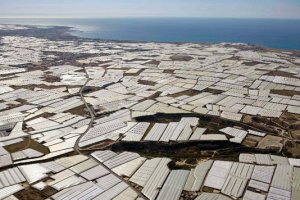 Fotografía de los invernaderos de la provincia.