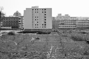 Manzana norte del barrio de Los Ángeles a mediados de los años sesenta.