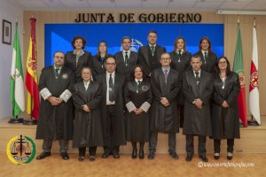 Junta de Gobierno del Colegio.