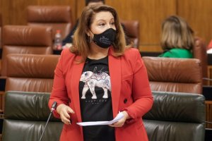 La consejera Carmen Crespo ha intervenido en el Parlamento de Andalucía.