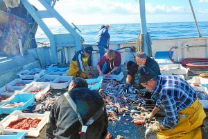 Los turistas podrán participar a bordo en las tareas marineras