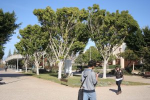 Estudiantes en el campus de la UAL en una imagen de archivo.