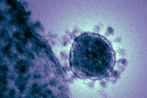 La pandemia ha cumplido ya más de un año.