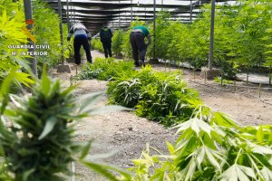 Operación de la Guardia Civil en El Ejido