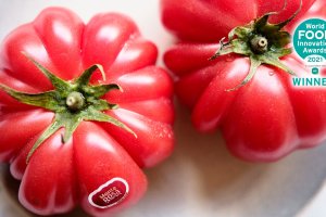 La especialidad de tomate Monterosa de Semillas Fitó.