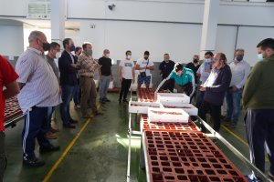 Alcalde, Andrés Belmonte y Pedro Hernández en la subasta con nuevas mesas.