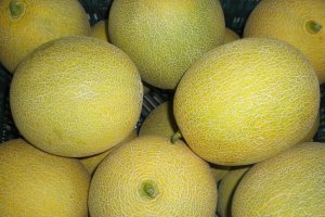 Fotografía de melones.