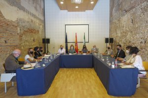 La secretaria general de Patrimonio Cultural de la Junta asiste a la reunión del órgano asesor.